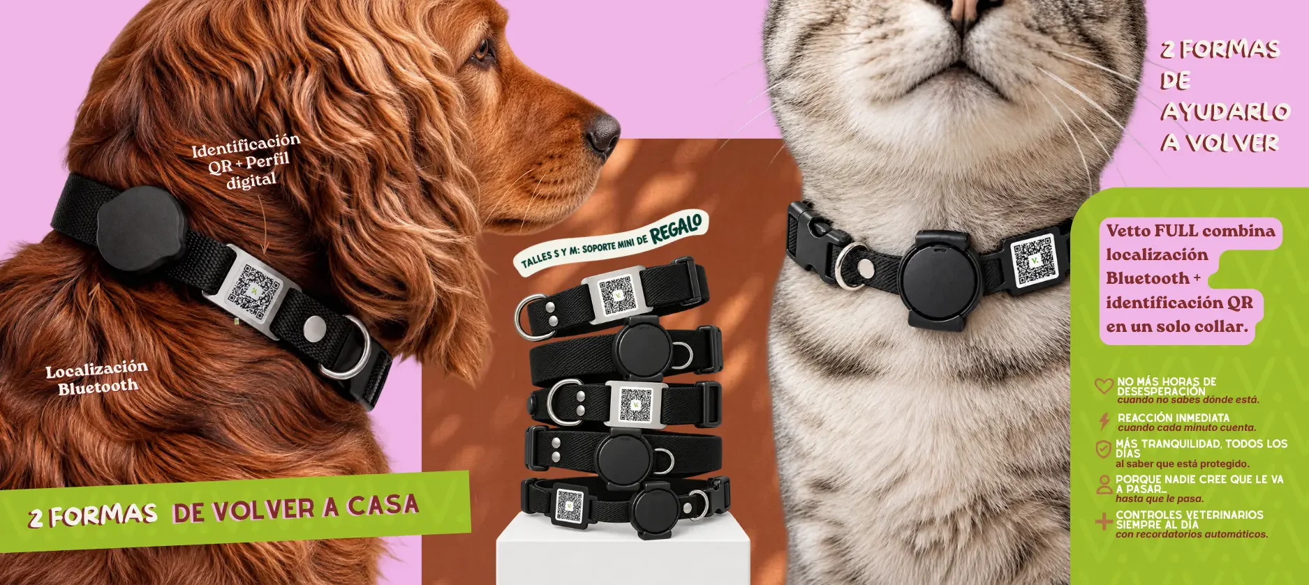 Vetto - tecnología para mascotas